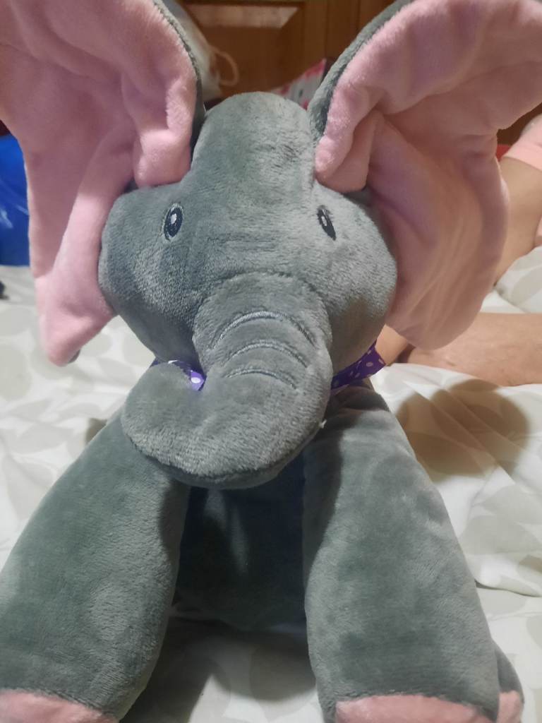 Peek-a-Boo Elephant Plush Toy – Good Condition