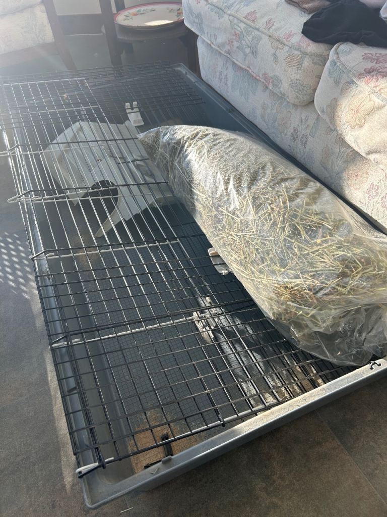 Guinea Pig cage and accessories