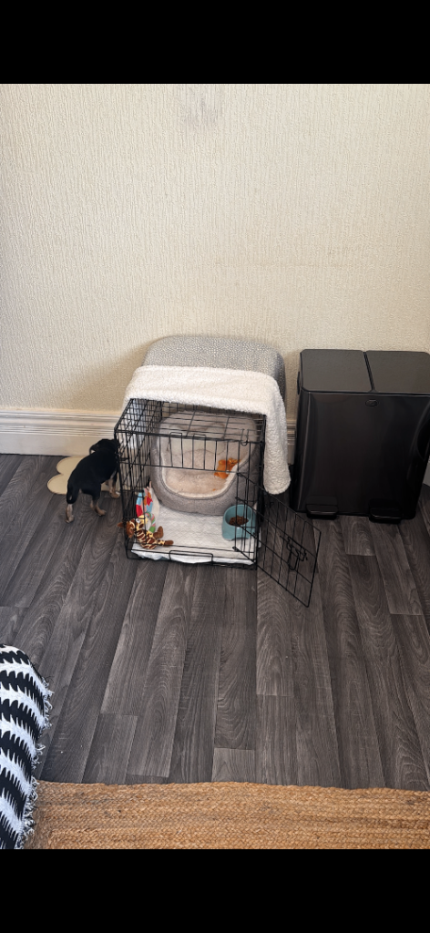 Dog crate