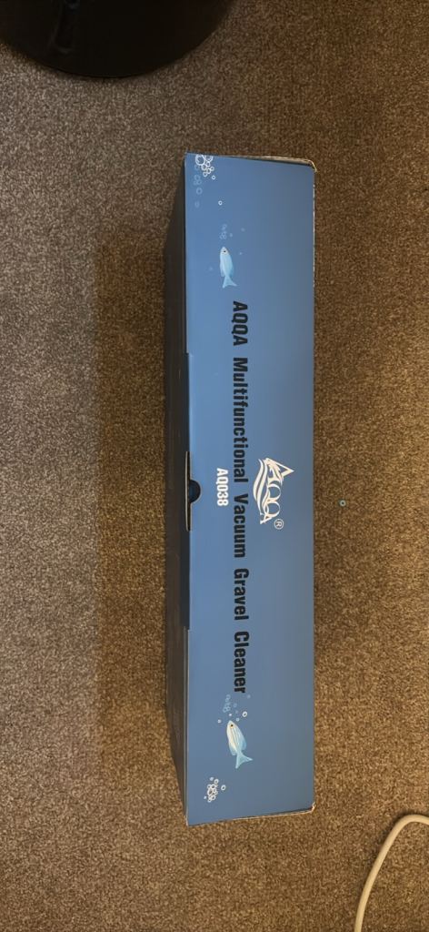 Tropical fish and aquarium tank