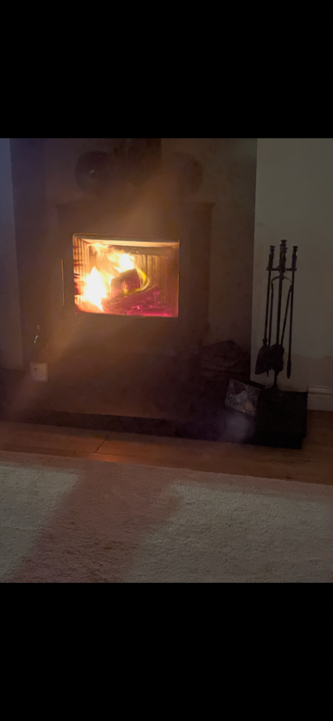 Premium cut Oak Whiskey Barrel firewood 🔥