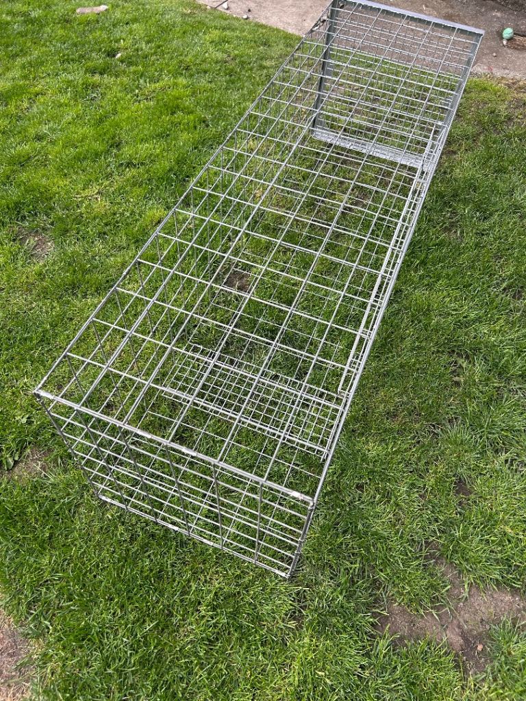Fox/dog live catch cage trap 