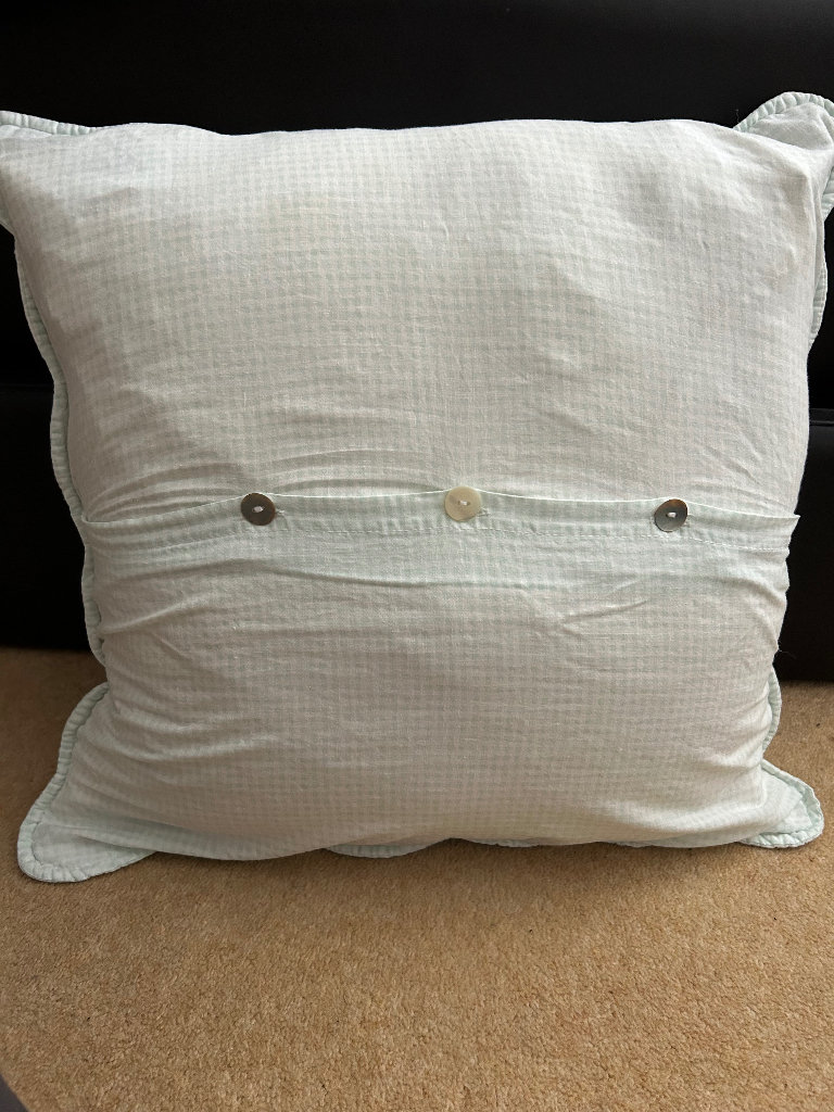 White and green checked cushion