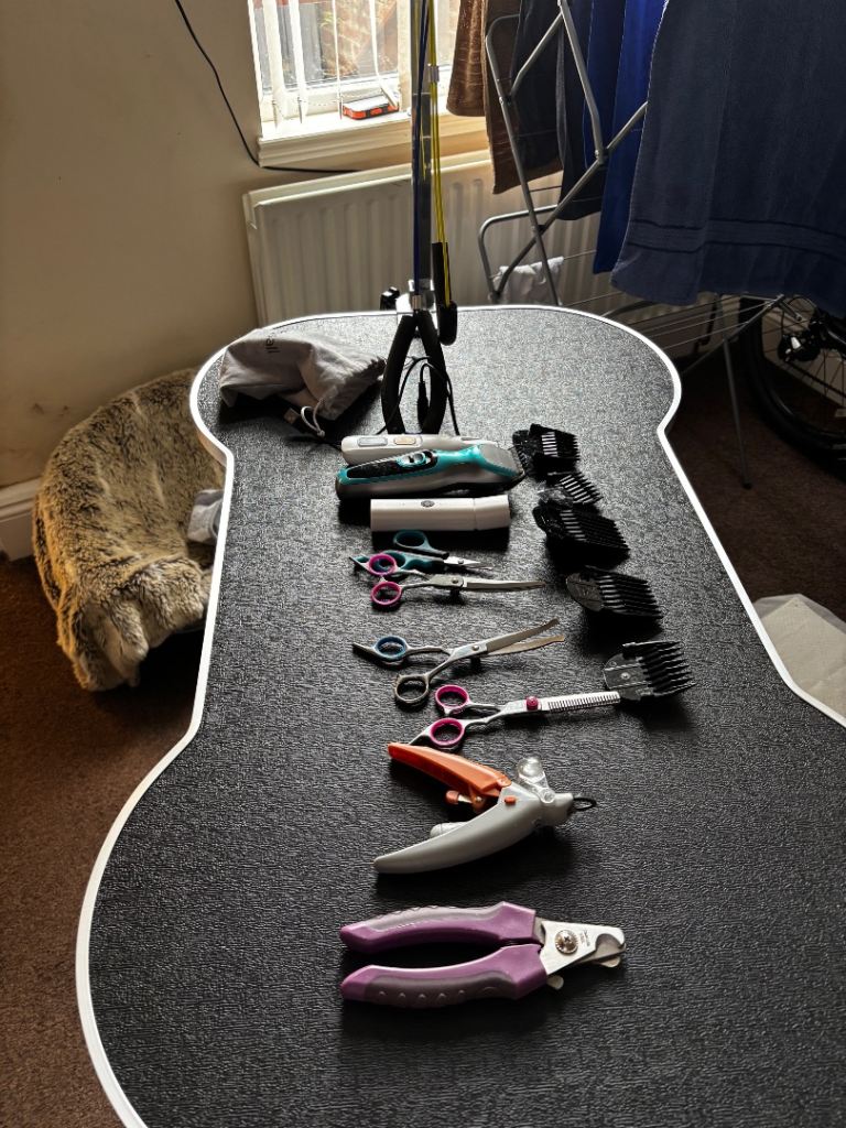 Dog grooming table 