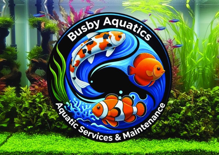 Busby Aquatics pond and aquarium maintenance 