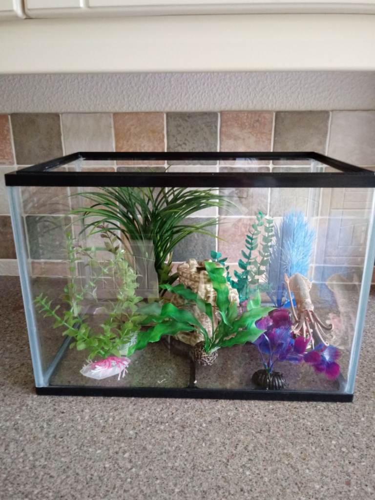 FISH TANK