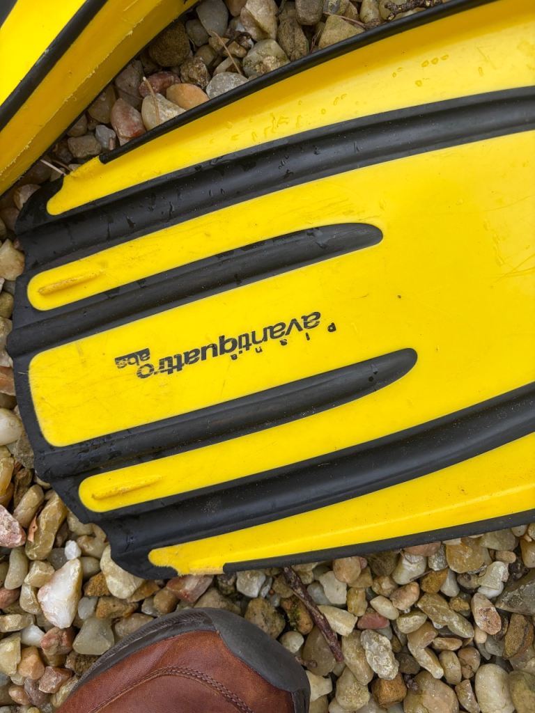 Mares Quattro Fins with spring straps 