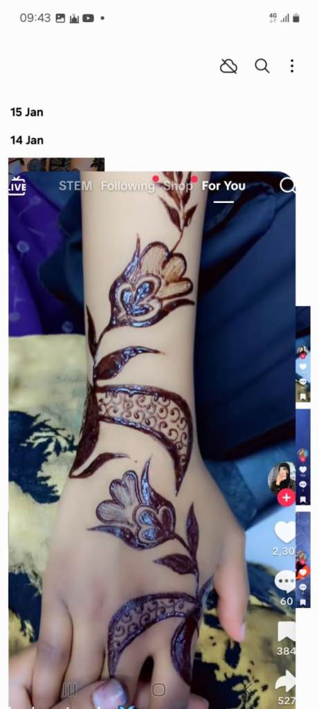 Henna / Mehndi 