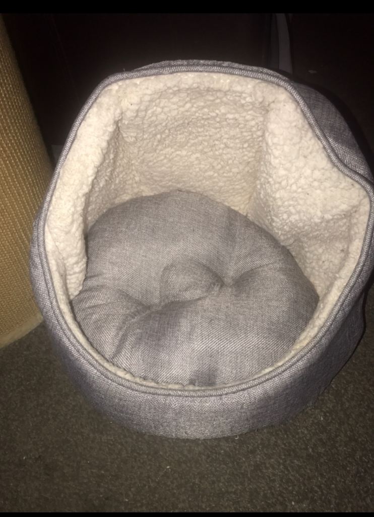 Cat bed 
