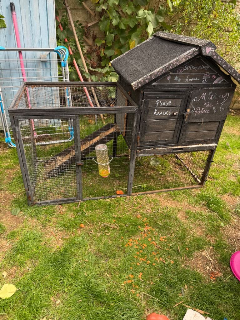 Free rabbit or guinea pig run 