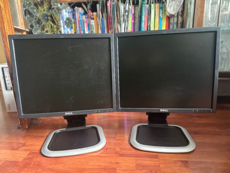 2 x Dell Computer Monitors with stands