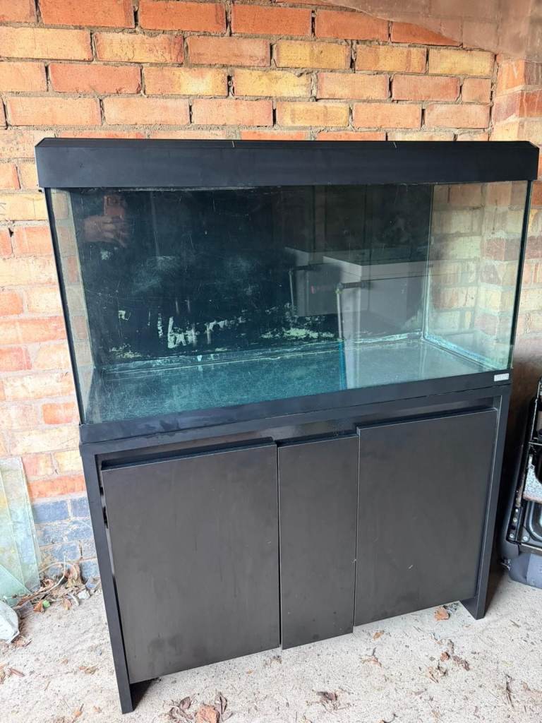 Fluval Roma 200 Black fish tank aquarium tropical setup delivery 🚚 | in ...