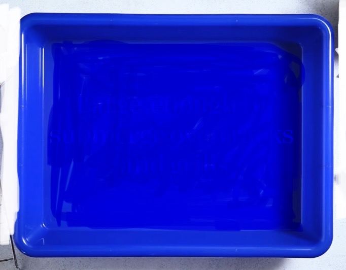 Super Large Cat Litter Tray and Bag of Cat San Litter