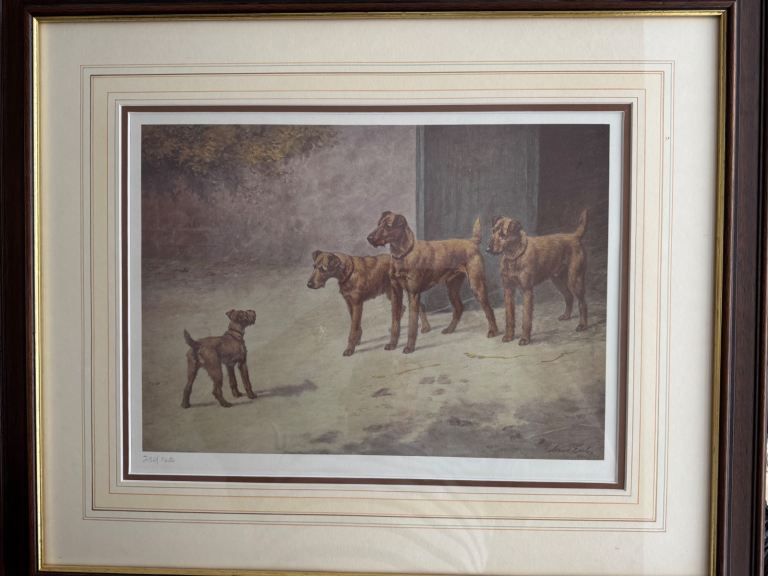 Limited edition print 142/250 features a group of Irish Terrier’s