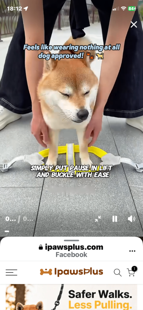 DOG HARNESS AND LEAD
