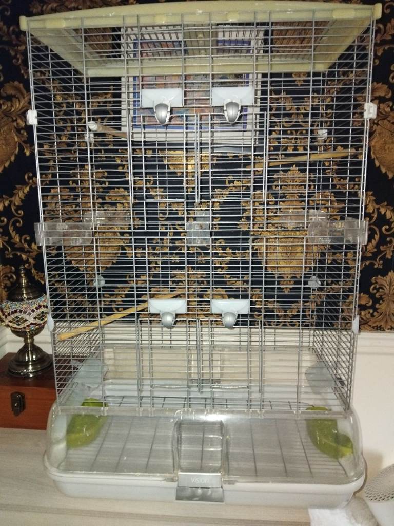 Large birdcage