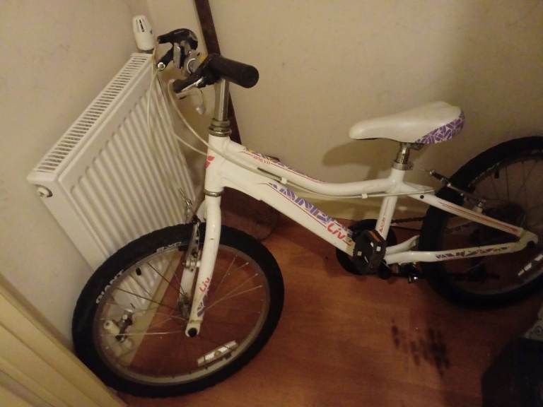 Bike Giant liv. 8 to 12 year old.