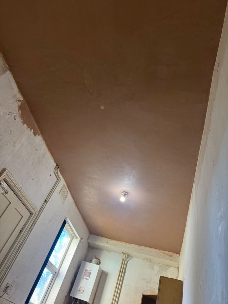 Plaster and rendering 