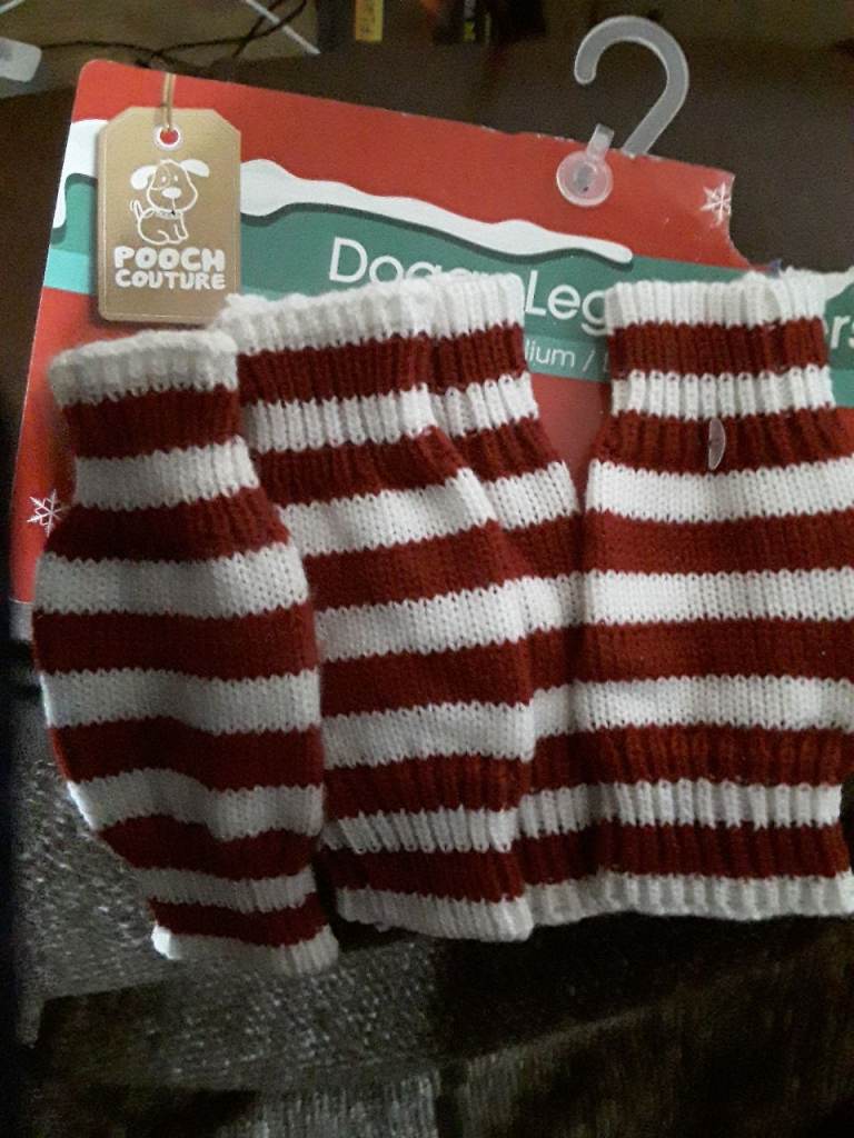 Dog leg warmers 
