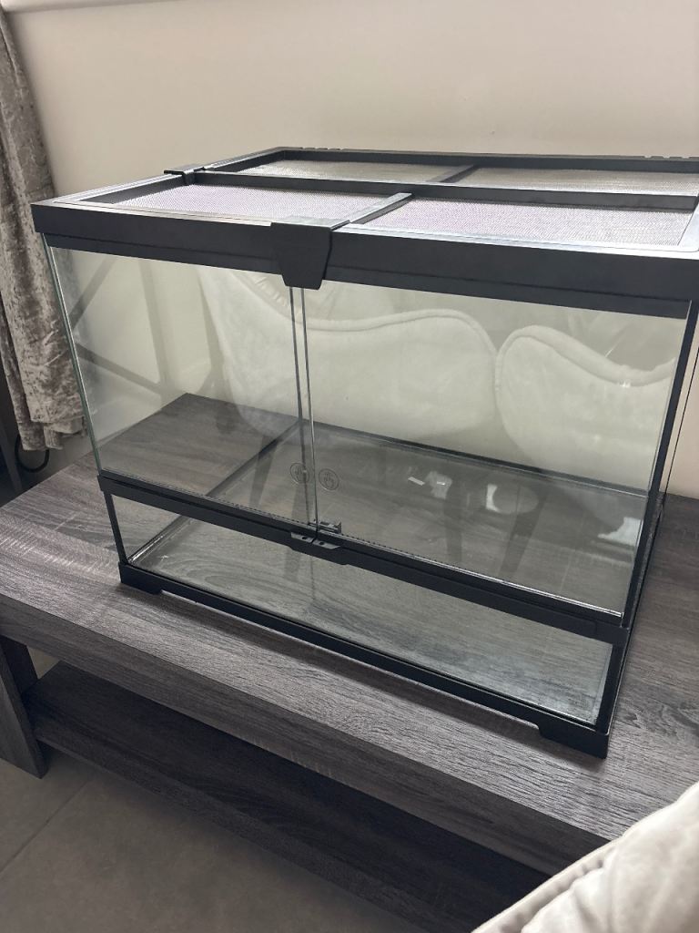 Glass Animal Tank 