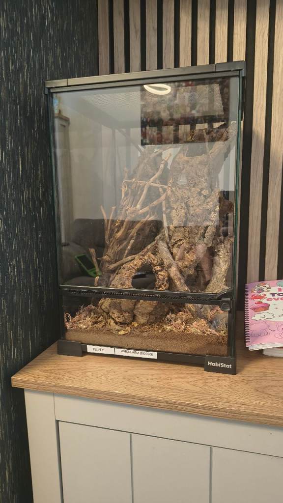 Exo terra tarantula enclosure including contents 