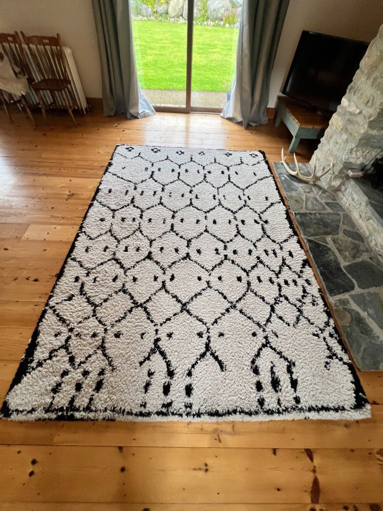 Beautiful XL Cream and Black Rug 