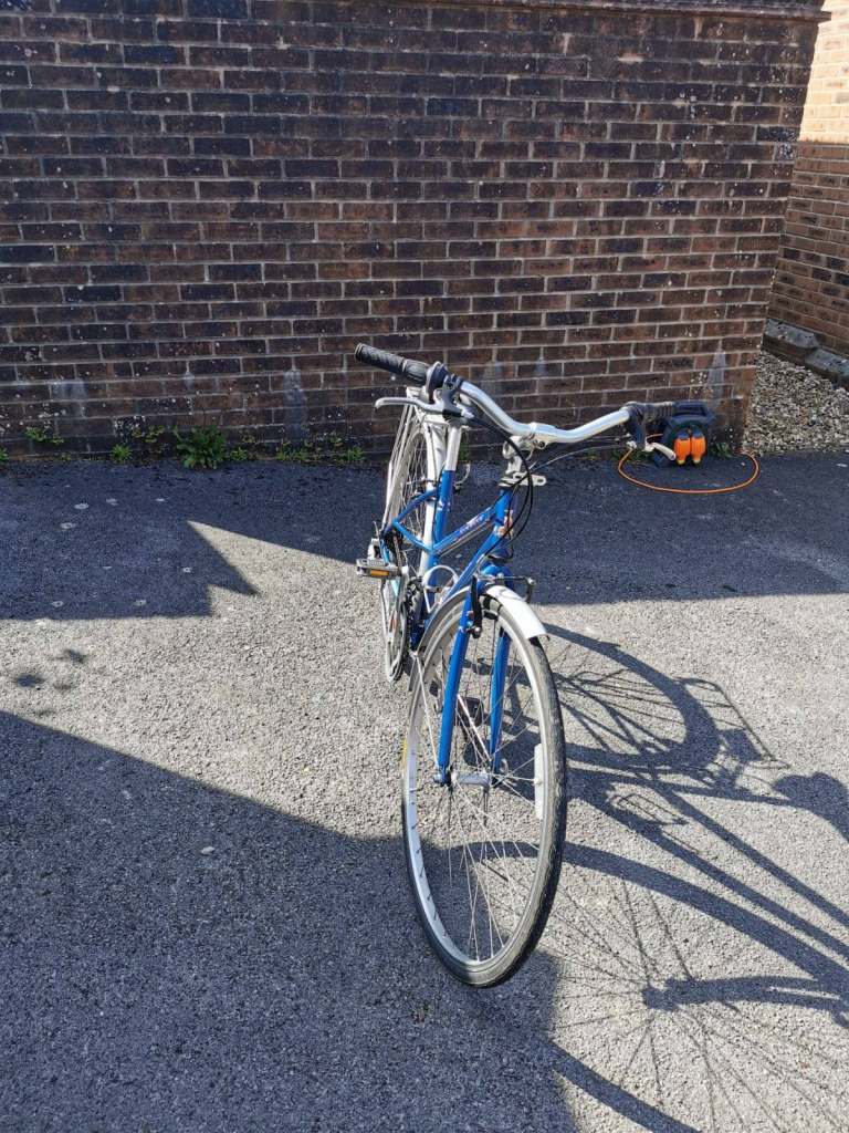 Ladies Raleigh Pioneer
