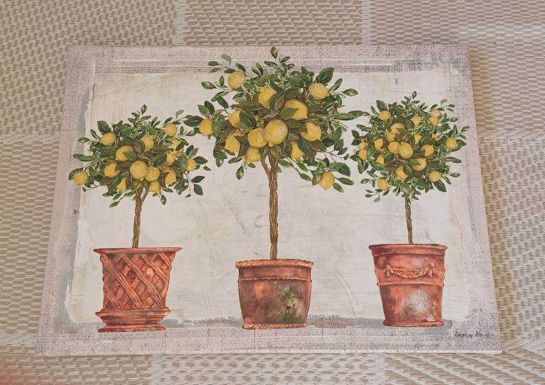Canvas on Wooden Frame -  Lemon Trees - 45 cm x 60 cm
