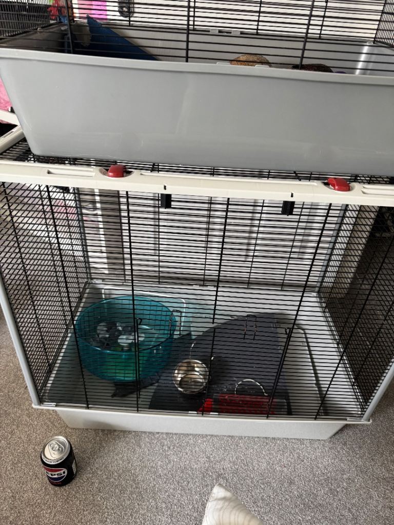 Extra large rat/hamster/rodent cage bundle 