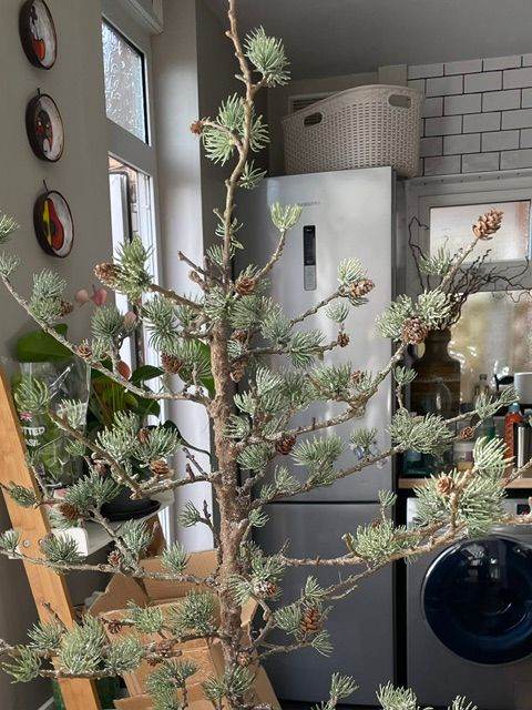 Tabletop Christmas Tree