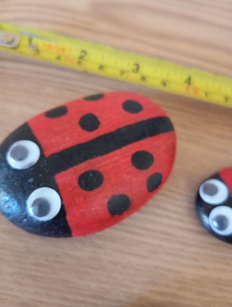 Ladybug hand painted pebbles 