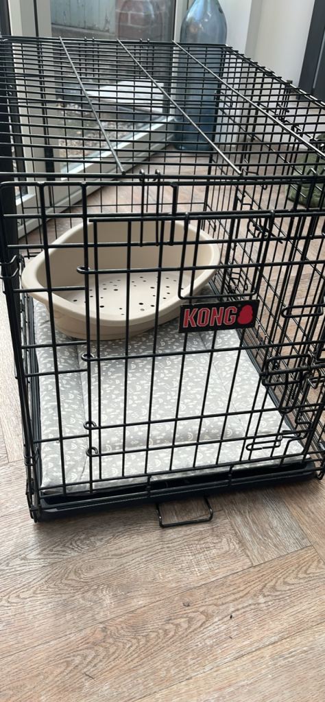 Kong Medium Dog Crate