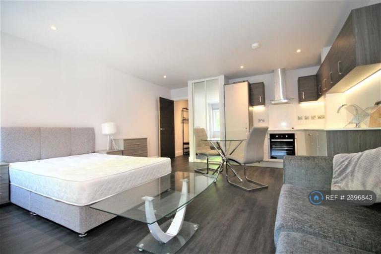 Studio flat in Aria Apartments, Leicester, LE1 (#2896843)