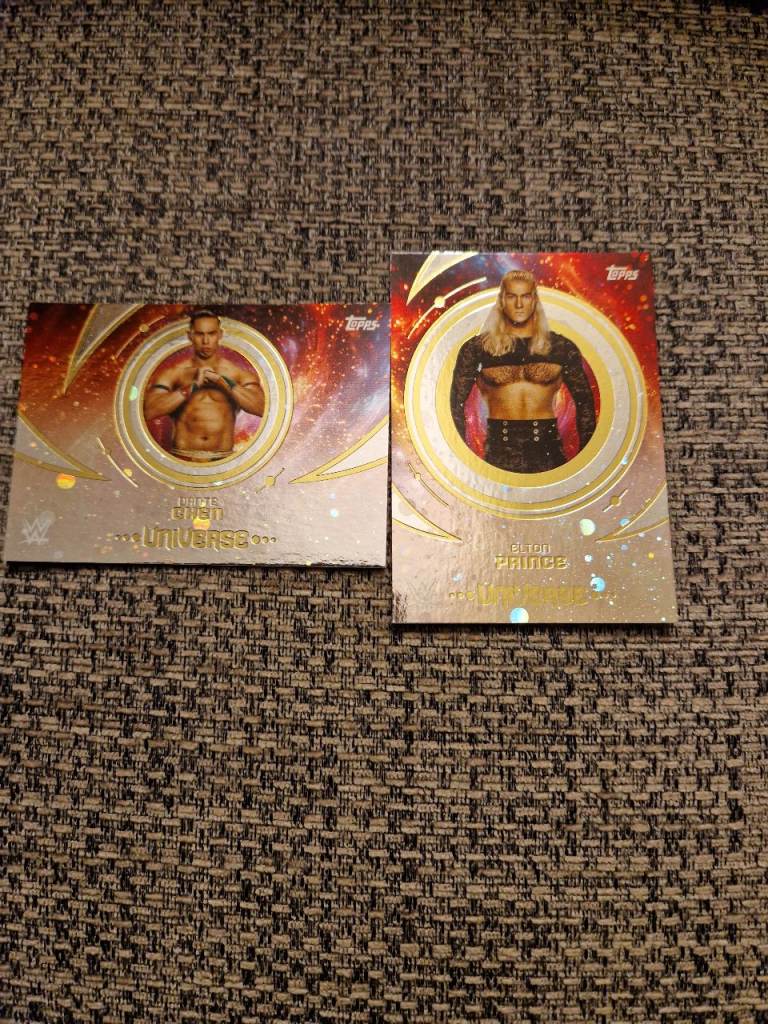 WWE Topps Now Trading Cards – Dante Chen & Elton Prince