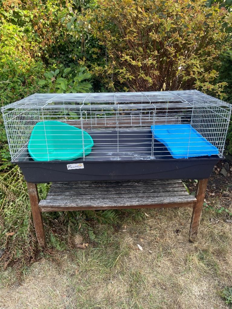 Paw hut indoor rabbit or Guinea pig cage