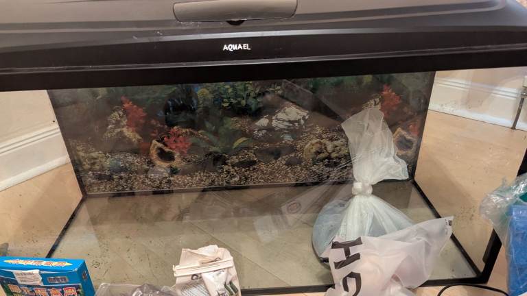 Large aquarium tank with external filters heater and extras.