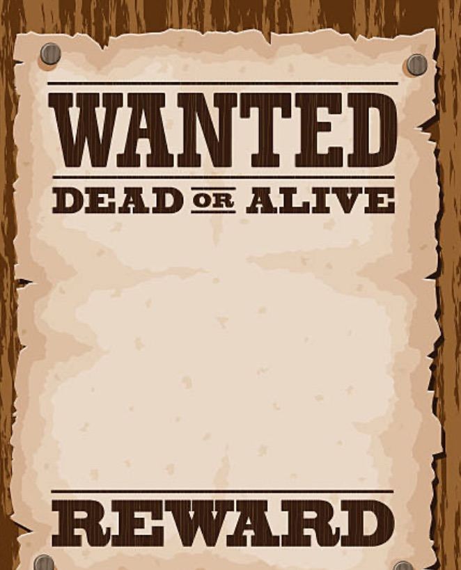 Cars wanted anything considered 