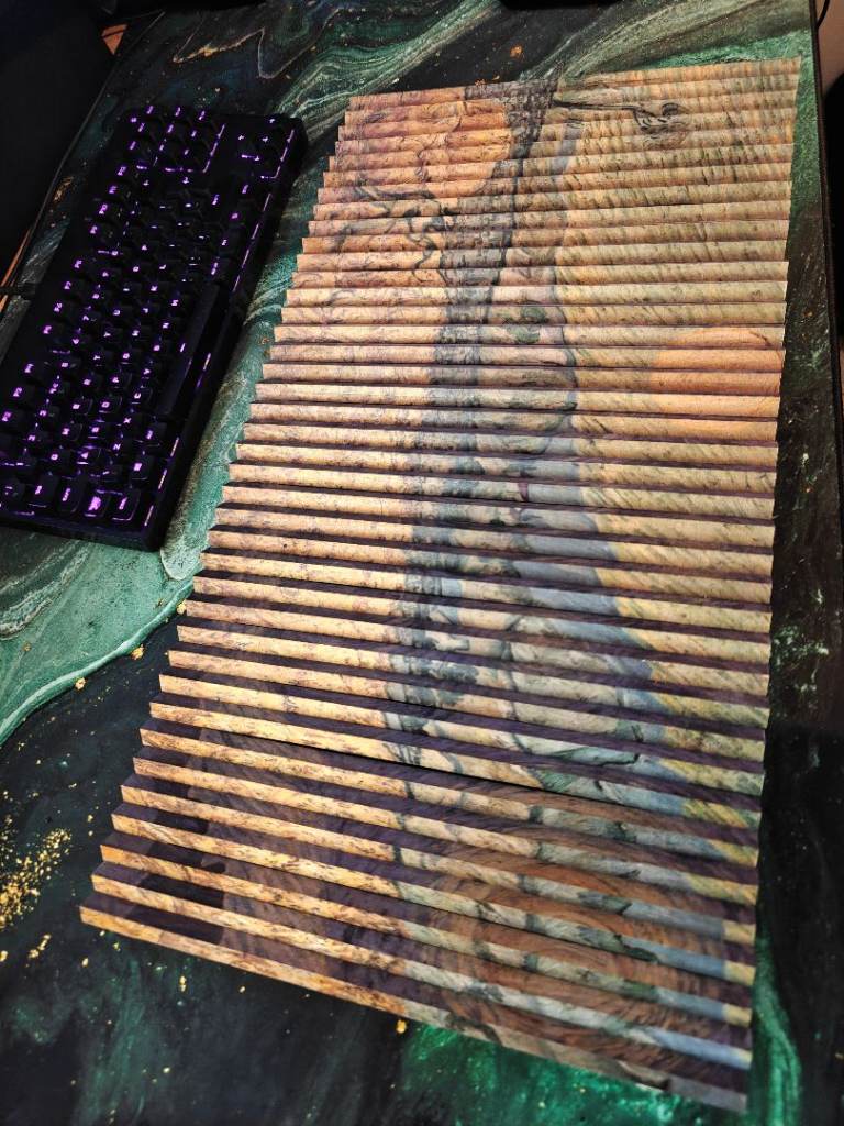 Da Vinci (Vitruvian Man) and Van Gogh (Landscapes) Kinect Art