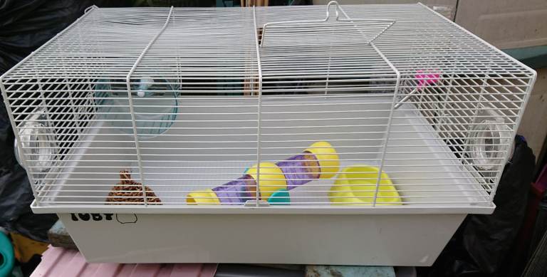Large hamster cage plus accessories 