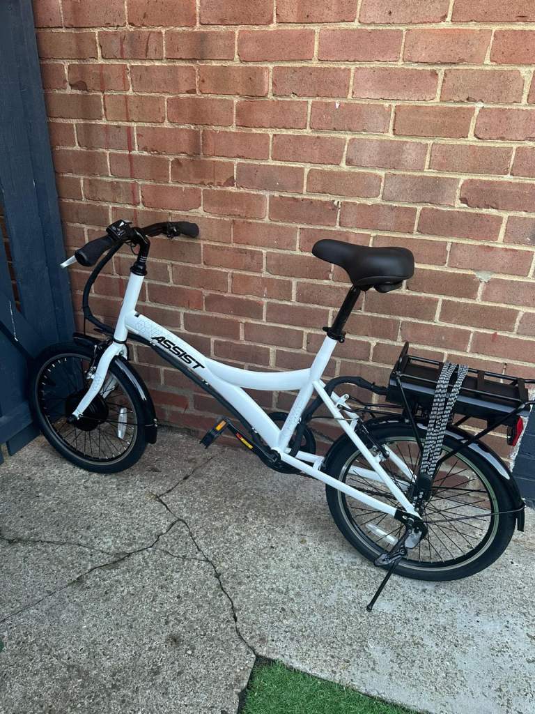 Electric assist bike