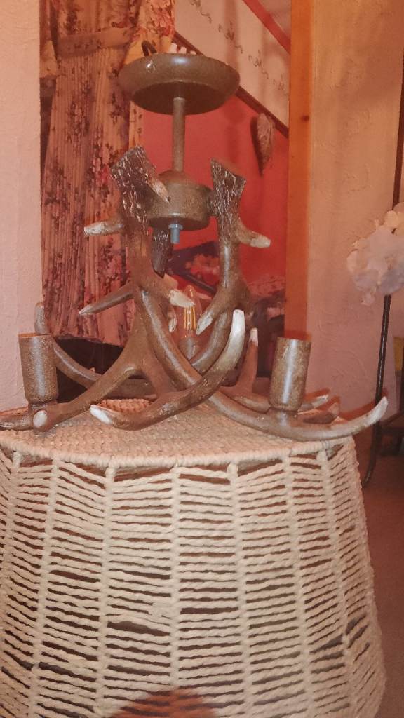 Stag antler ceiling light 