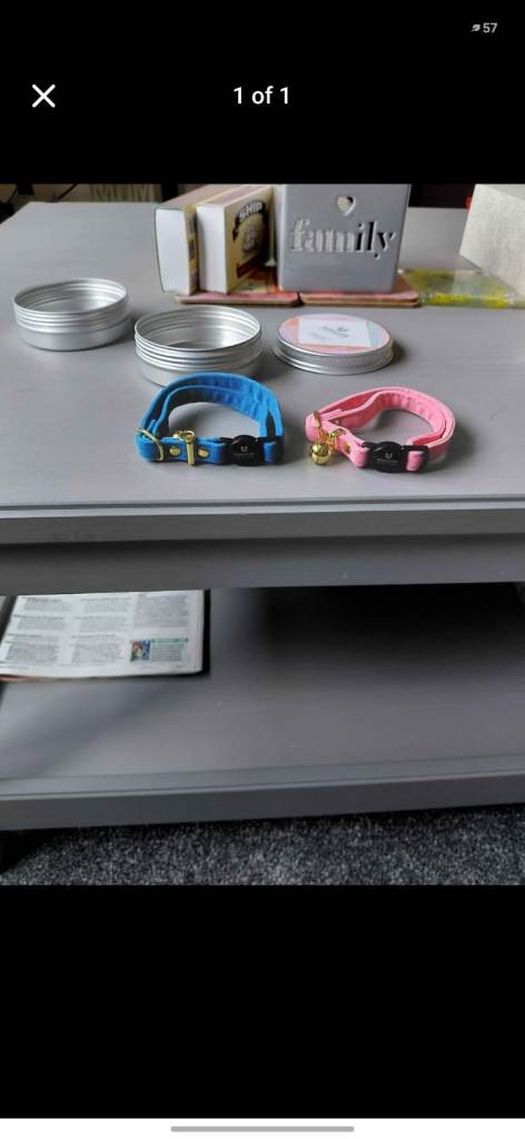 Pink and blue cat collars 