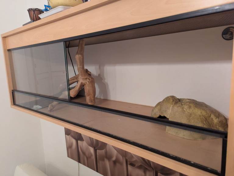Reptile Tank and accessories 
