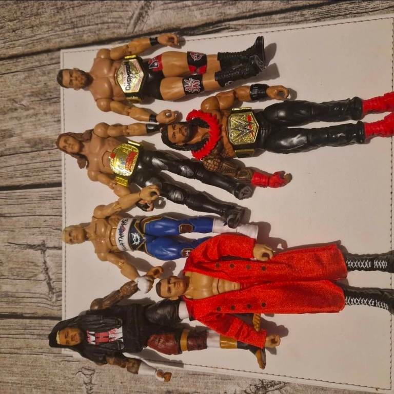 WWE wresting ring and action figures