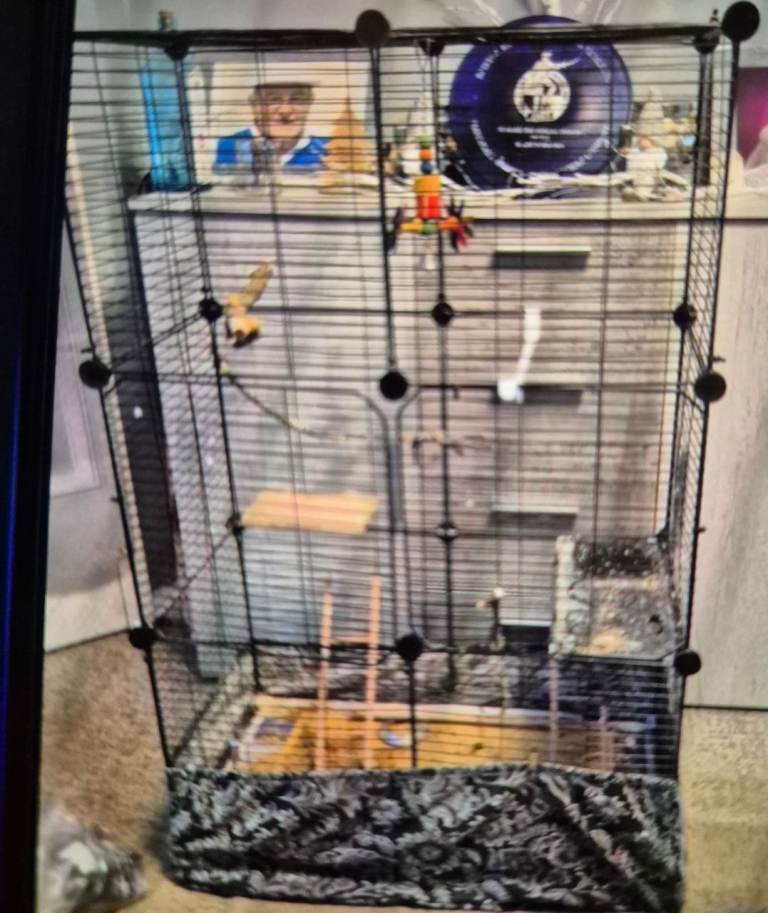 Large Bird Cage