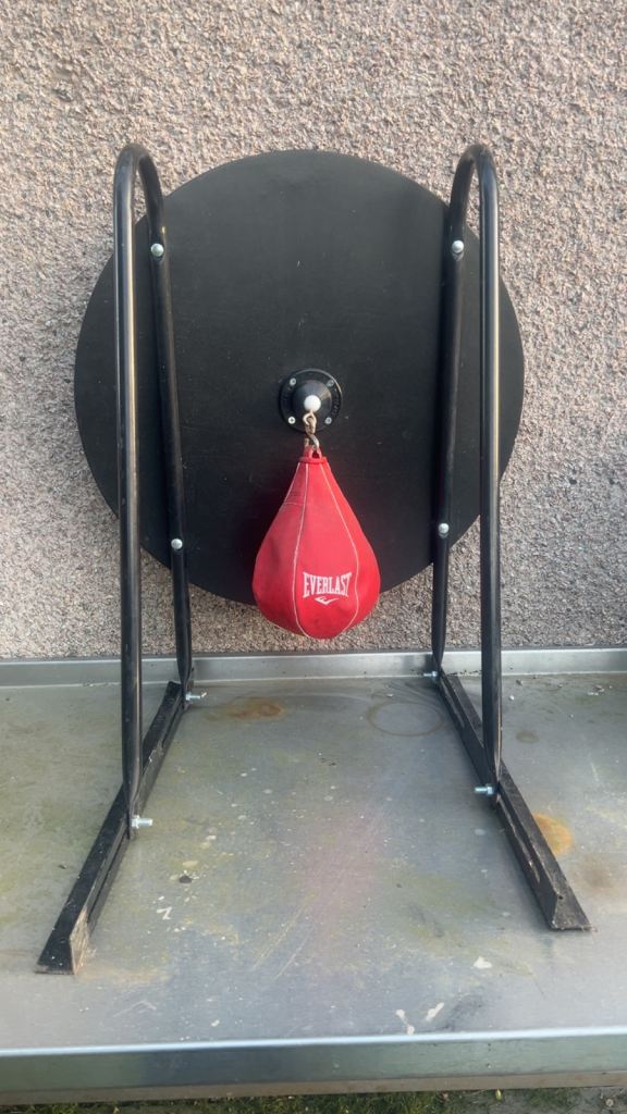 Everlast speed bag 