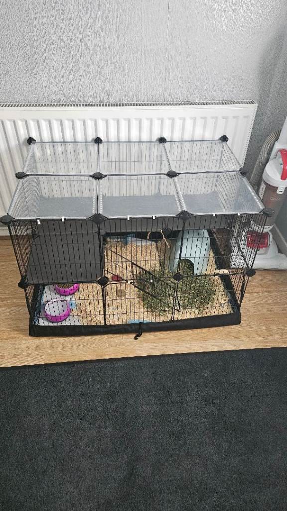 Guinea pig/rabbit cage and run