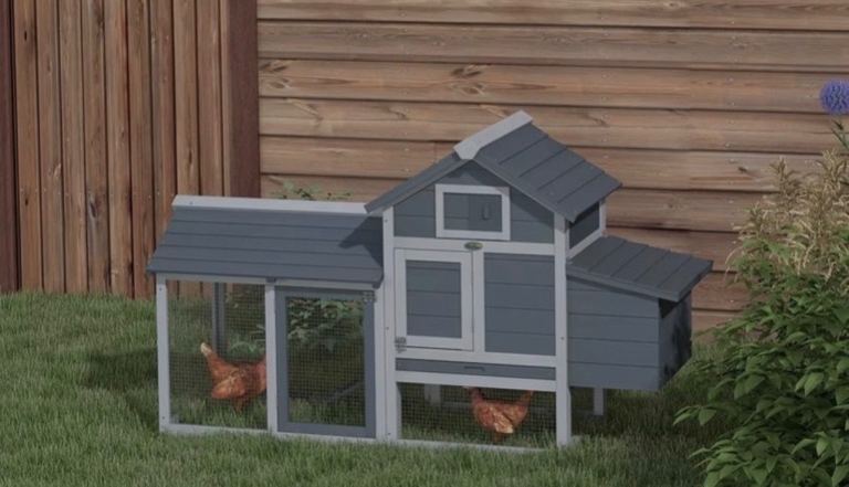 Chicken Coop with Enclosed Run