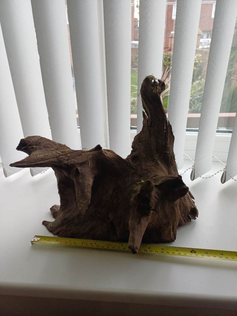 Large piece of bog -wood for sale