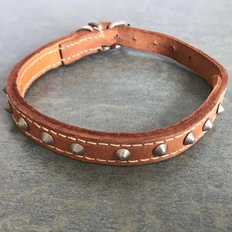Unused natural colour leather studded dog collar. Approx 27-33 cms x 1 cm. £3 ovno. Can post.